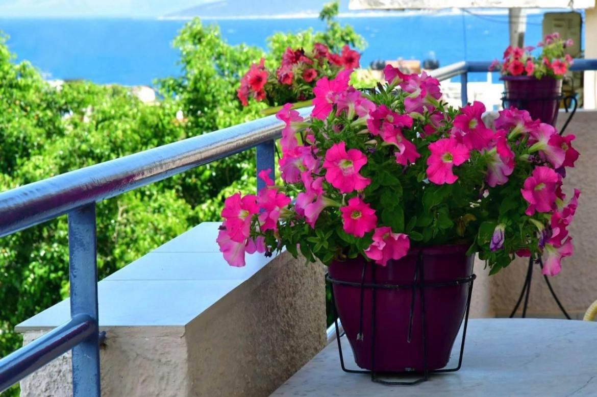 Konstantinos Apartments Tolón Exteriér fotografie